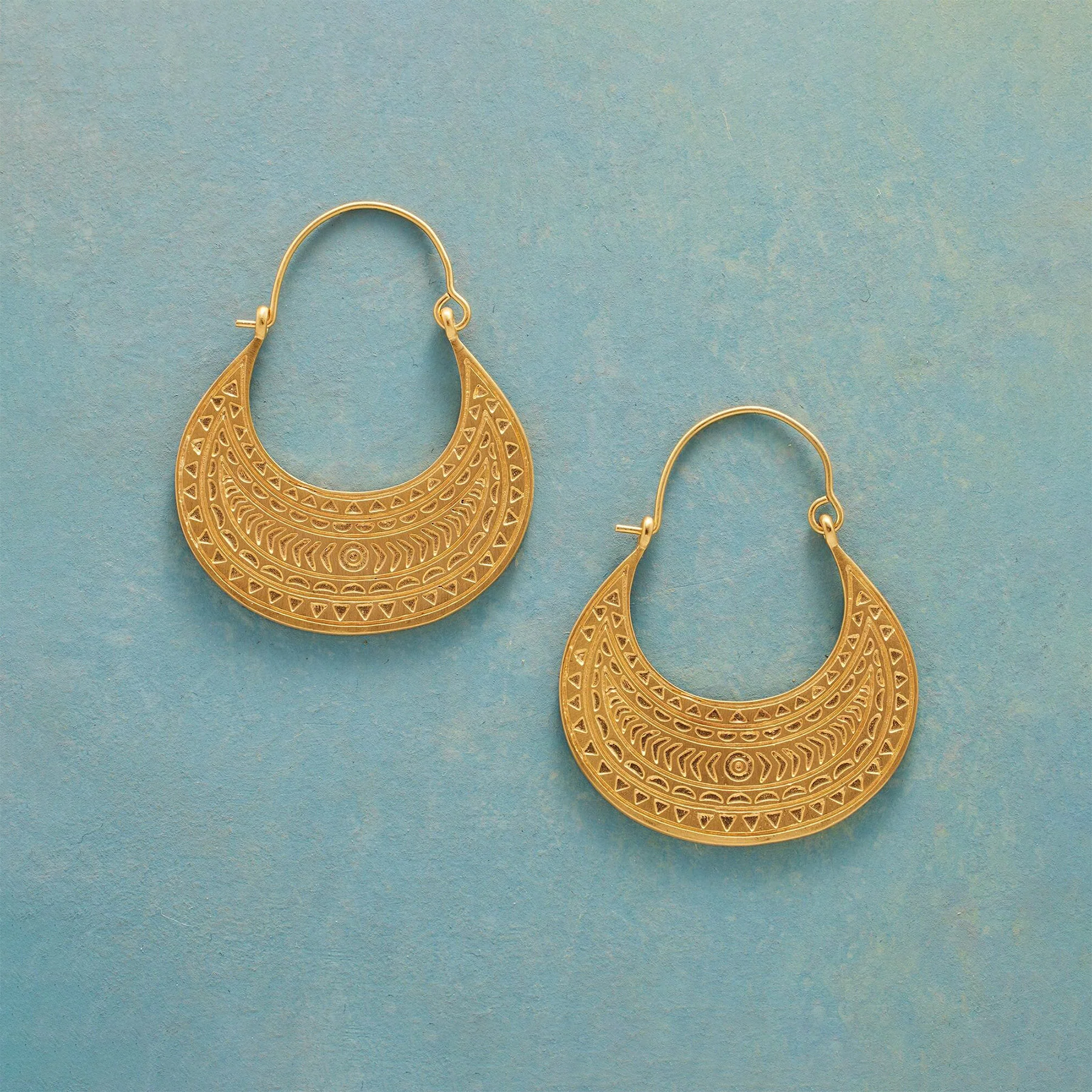 Riches Untold Hoop Earrings