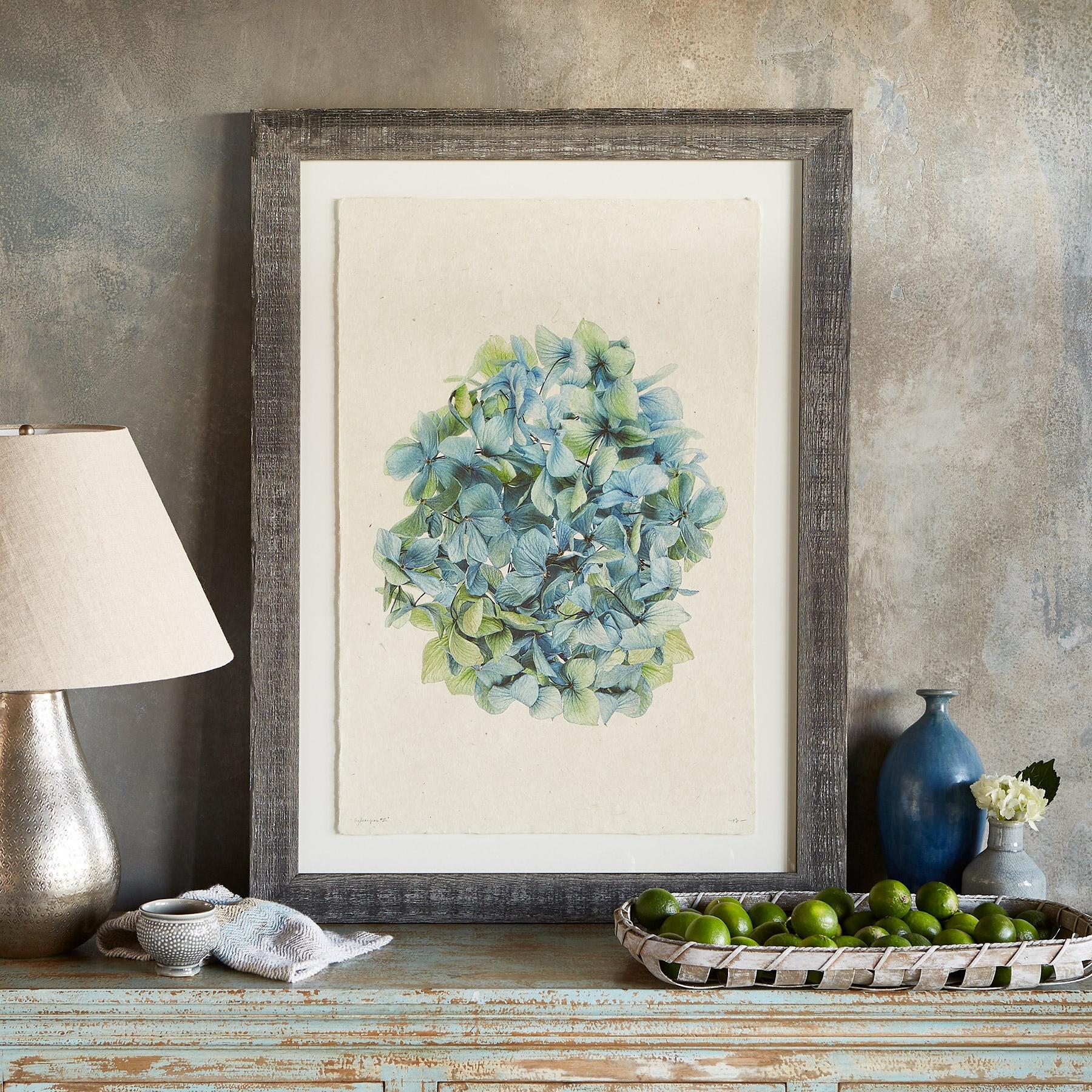 Hydrangea Studies Prints