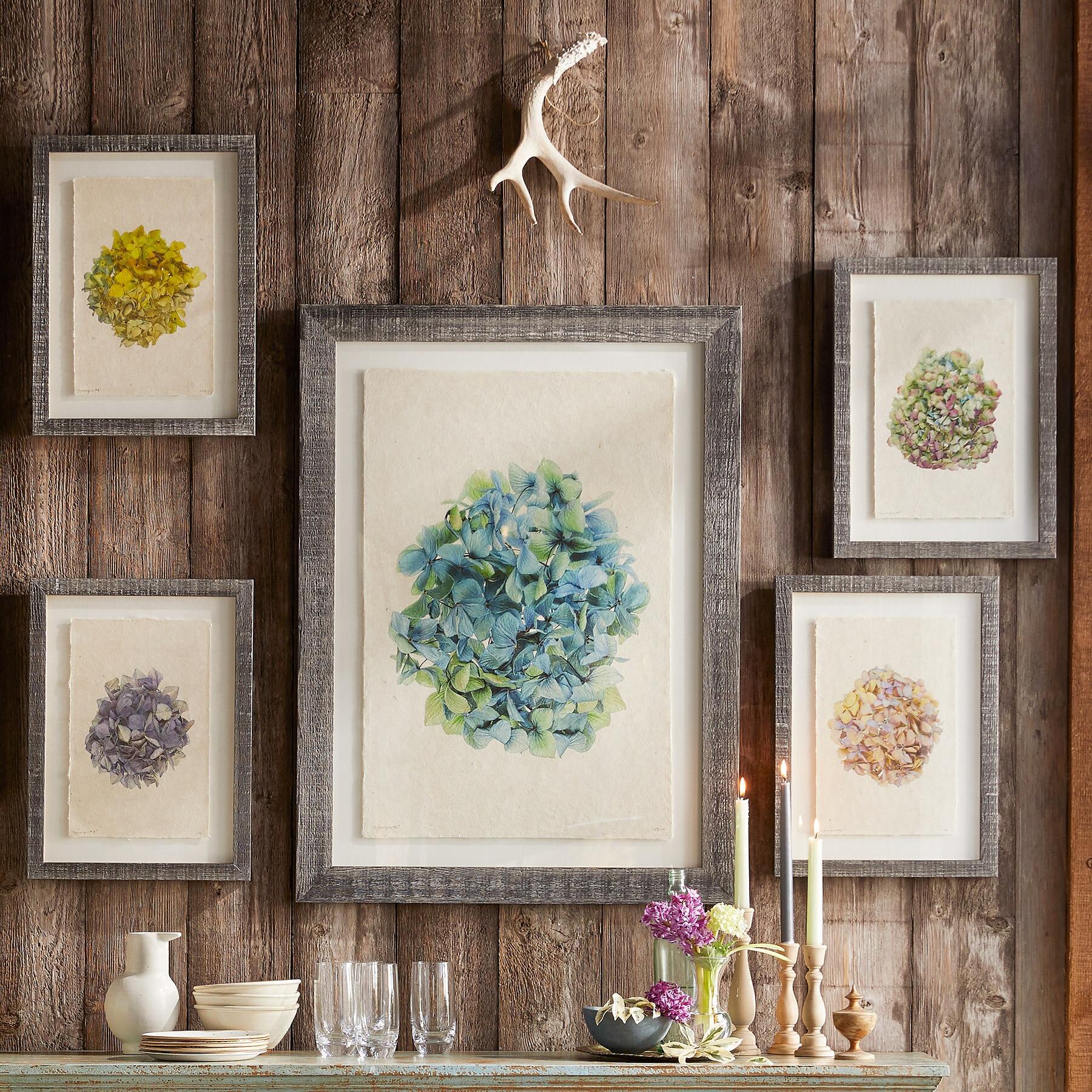 Hydrangea Studies Prints