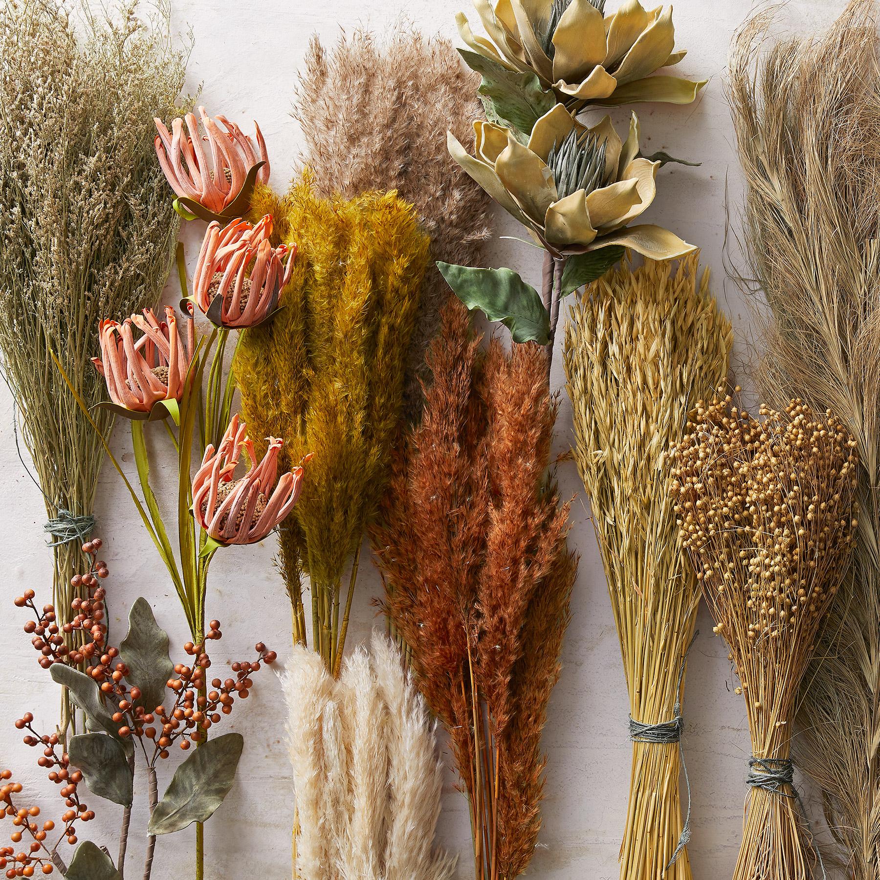 Countryside Dried Botanics