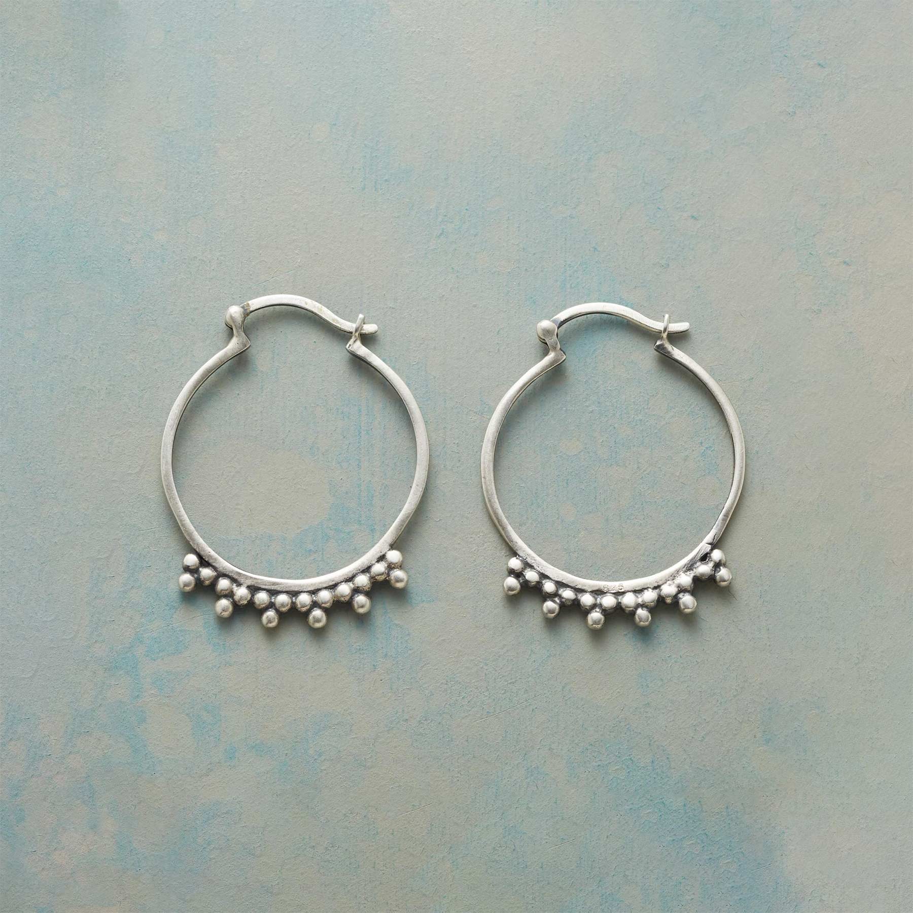 Tenacity Hoop Earrings