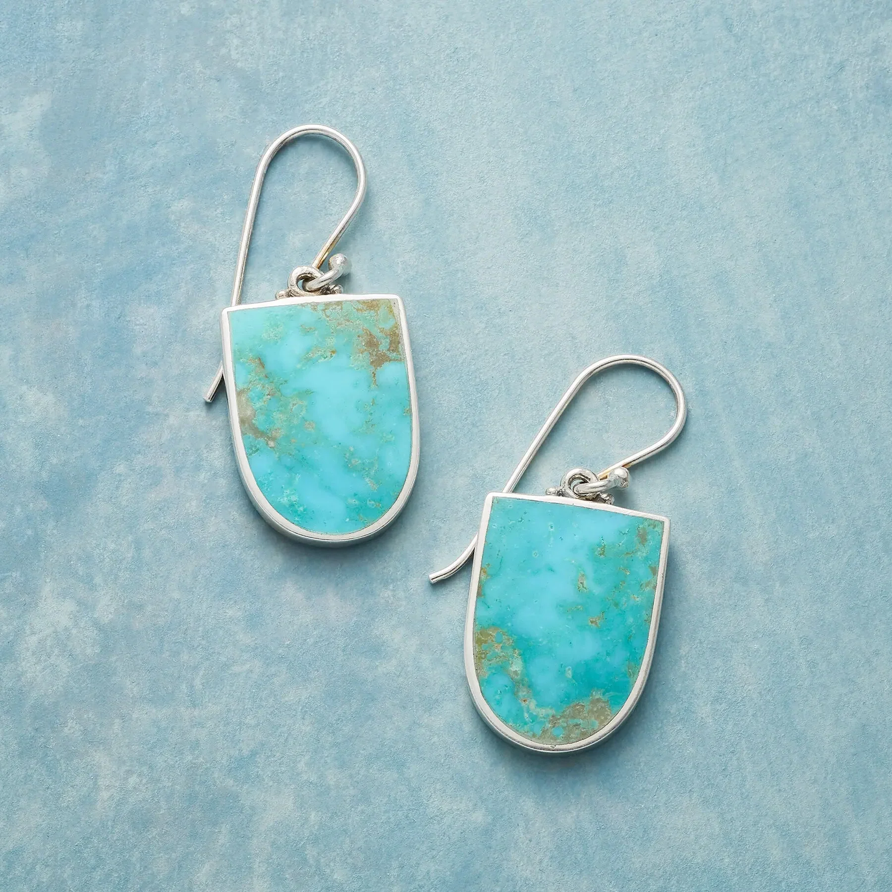 Turquoise Protector Earrings