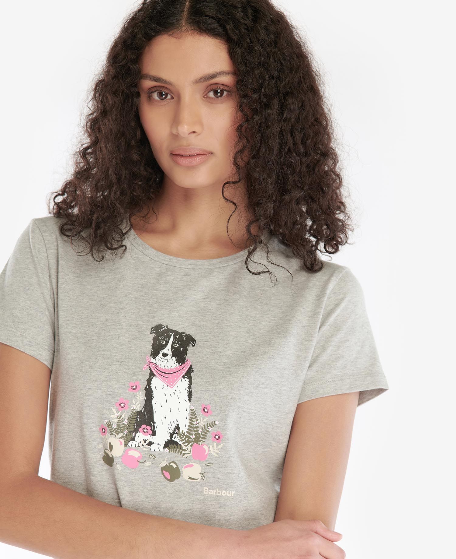 Barbour Beacons T-Shirt